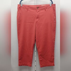 Cosmic Blue Love Capri Pants Sz 33 or 16 Tomato
